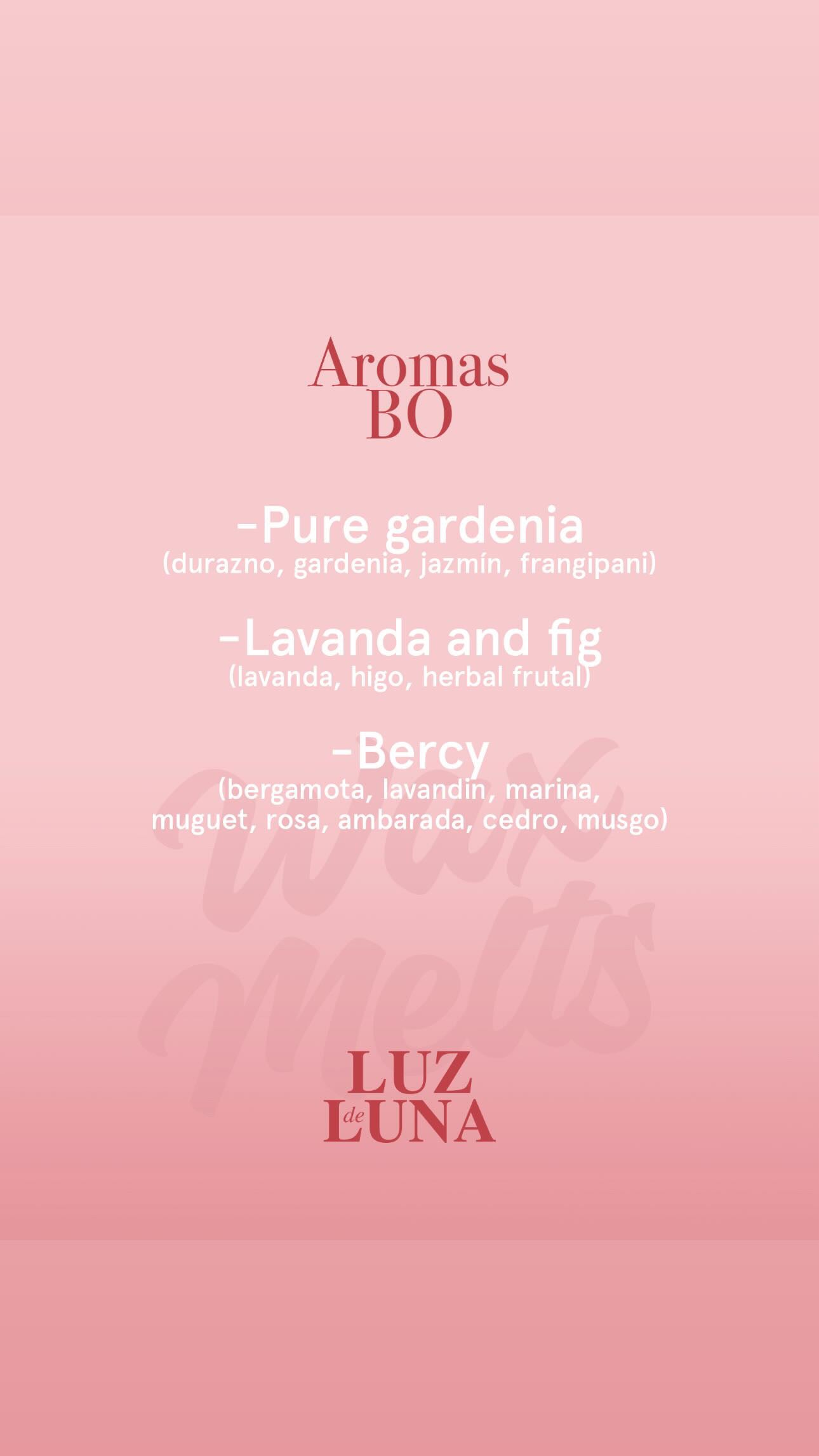 Brumas aromáticas Luz de Luna 100ml