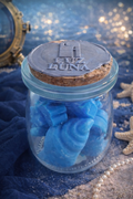 Wax Melts Waikiki