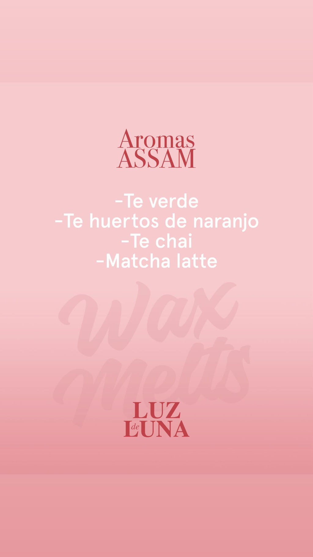Brumas aromáticas Luz de Luna 100ml